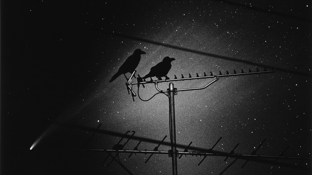 Kikuji Kawada, Die Ganze Stadt, Zeno & Kiki, 1995 © Kikuji Kawada. Courtesy Michael Hoppen Gallery