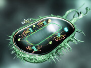 Synthetic bio cell