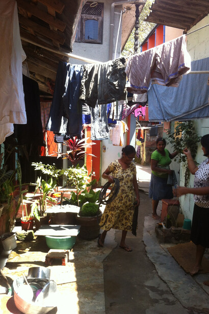 «Community pocket»: agricultura informal na Slave Island. Photo: Gihan Karunaratne
