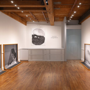 Liam Davis, Living with it, exhibition view. Courtesy of Goya Contemporary Gallery 