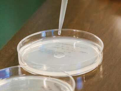 El desarrollo de hidrogeles sensibles al pH ha permitido avances significativos en la liberación controlada de fármacos