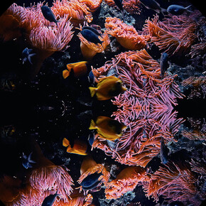 Theo Eshetu, The Slave Ship, 2015, video installation. Image © Theo Eshetu, courtesy of the artist and Tiwani Contemporary.
