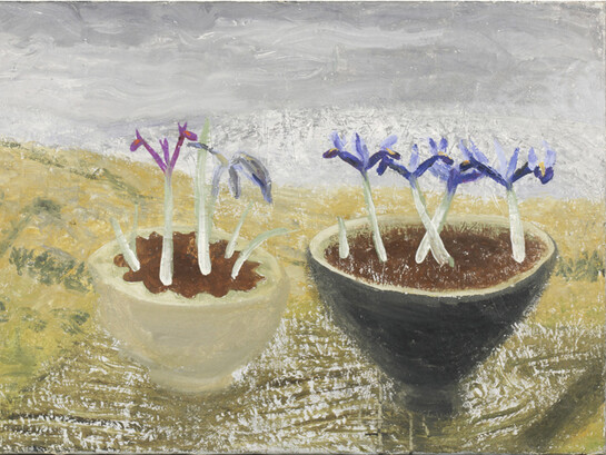Winifred Nicholson, Winter Landscape, oil on canvas, 51 x 76 cm