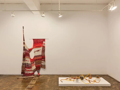 Romina Chuls, La cosecha (The harvest), exhibition view. Courtesy of A.I.R. Gallery