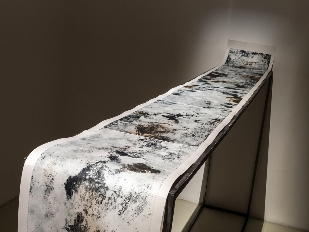 Francesca Grilli, Kepler 62h, 2015, detail