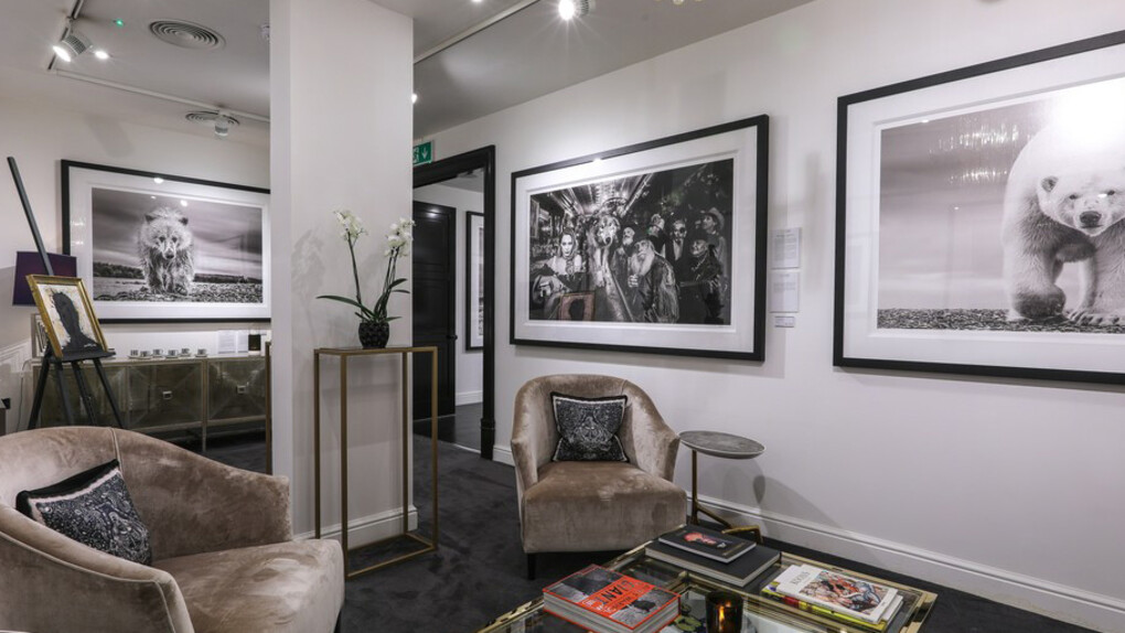 Winter Contemporary. Courtesy of Maddox 