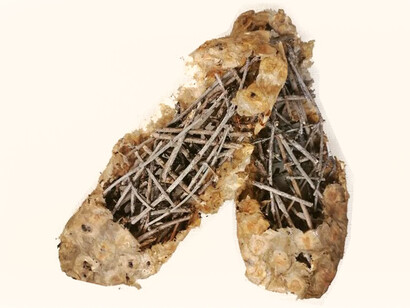 Vanessa Biasetti; Calzado, instalación, 2014