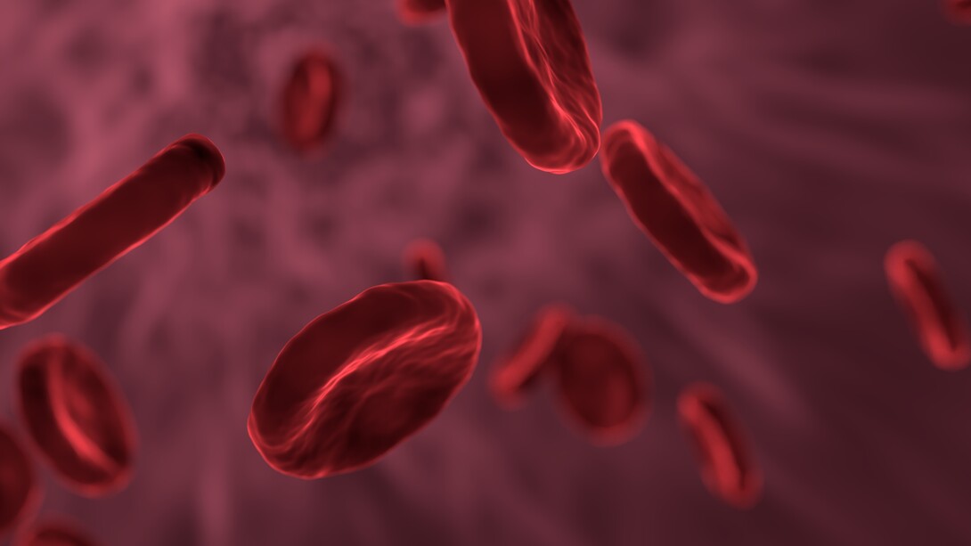 Glóbulos rojos