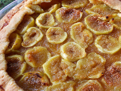 Ficus carica  (crostata)