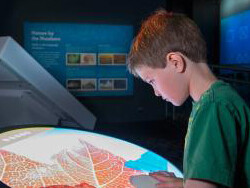 A Mirror Maze. Courtesy of The Franklin Institute