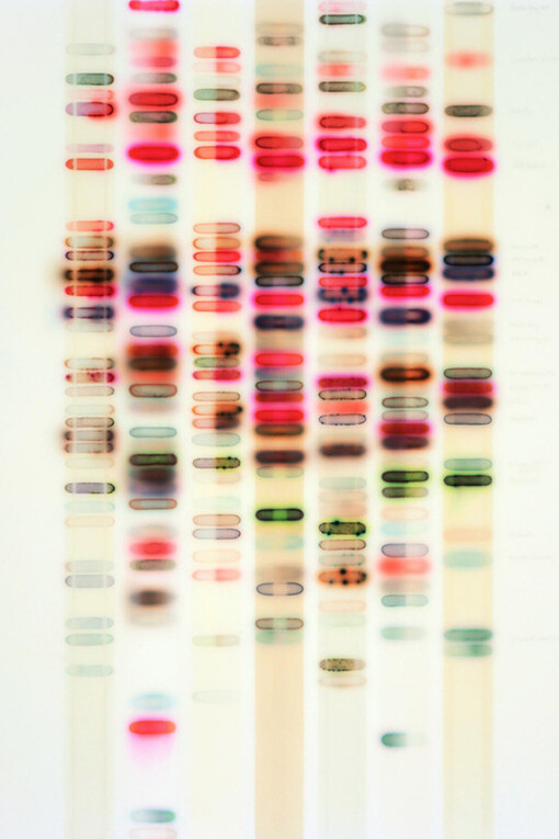 Jaq Chartier. Courtesy of Dolby Chadwick Gallery