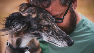 La interrelación entre cambio climático y zoonosis redefine los desafíos de la salud pública global, exigiendo un enfoque integral y transdisciplinario