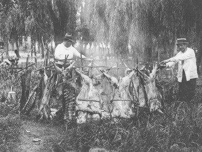 Asado creolo, 1929, Archivo General de la Nación Argentina