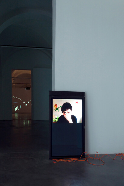 Eva e Franco Mattes, Emily's Video, Mata Modena (ph. Elenia Megna, 2016)