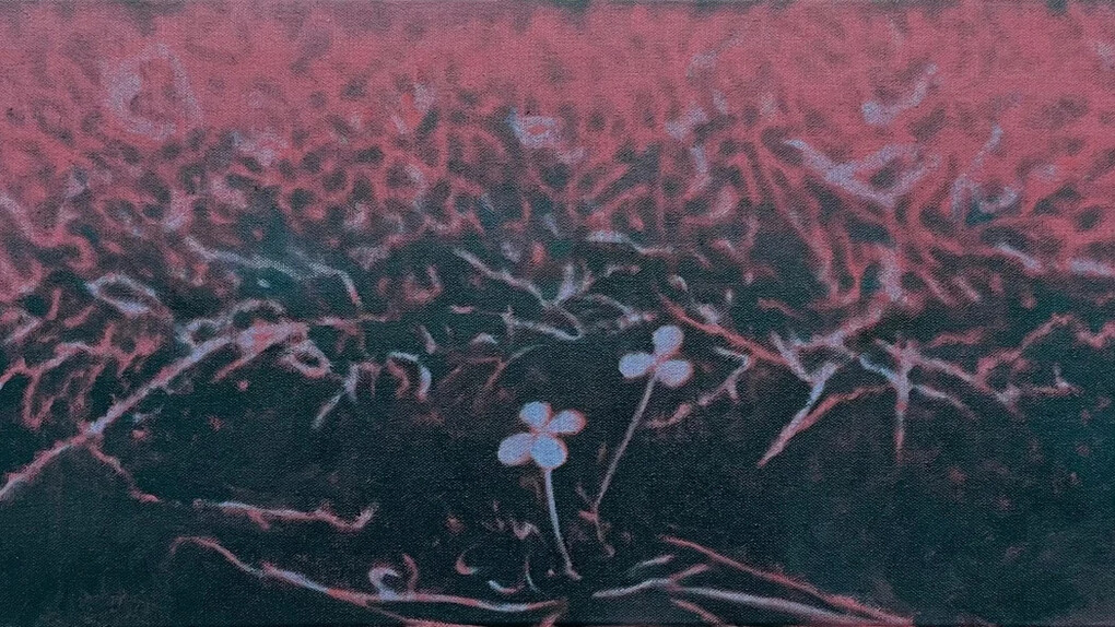 Sanghyuk Kim, Clover (detail), 2024. Courtesy of Enseoul Gallery