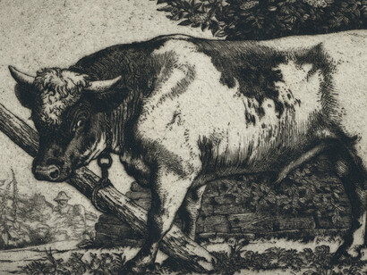 Second Nature. Courtesy of Royal Academy of Arts