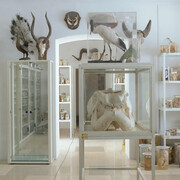 The Mutable Archive. Courtesy of Bruno David
