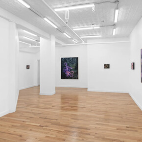 Martina Grlić, Memory projects, exhibition view. Courtesy of Fragment Gallery