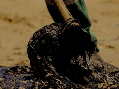 2019 Northeast Brazil oil spill