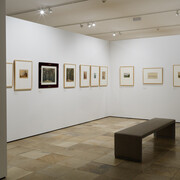 Grafische Schätze, aus der Sammlung Kastner, ausstellungsansicht. Mit freundlicher genehmigung des Schlossmuseums Linz