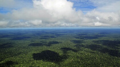 Amazônia