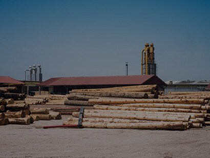 The impact of industrial sawmills on forests necessitates exploring sustainable alternatives and responsible management practices for wood processing