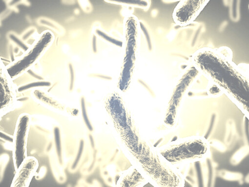 L'abuso degli antibiotici non fa altro che favorire le mutazioni che danno loro una resistenza agli antibiotici