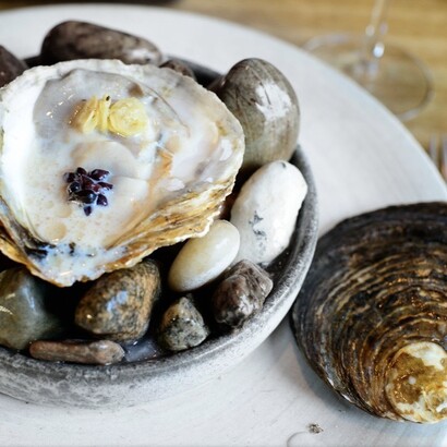 Les plats iconiques du Noma : Huître du Limfjord et huile d'algues, groseille et lait ribot