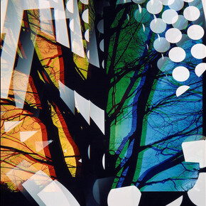 Ishimoto Yasuhiro, Untitled, 1995, silver dye bleach print, the Museum of Fine Arts, Houston, gift of the artist in memory of Ishimoto Shigeru. © Kochi Prefecture, photo by Yasuhiro Ishimoto, collection of the Museum of Art, Kochi