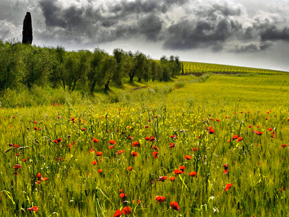 Tuscany © Dimit®i on Flickr.com
