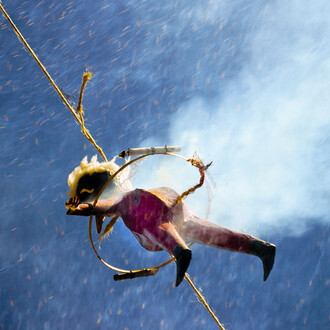 James P. Nicholls, Mexico, 2005
