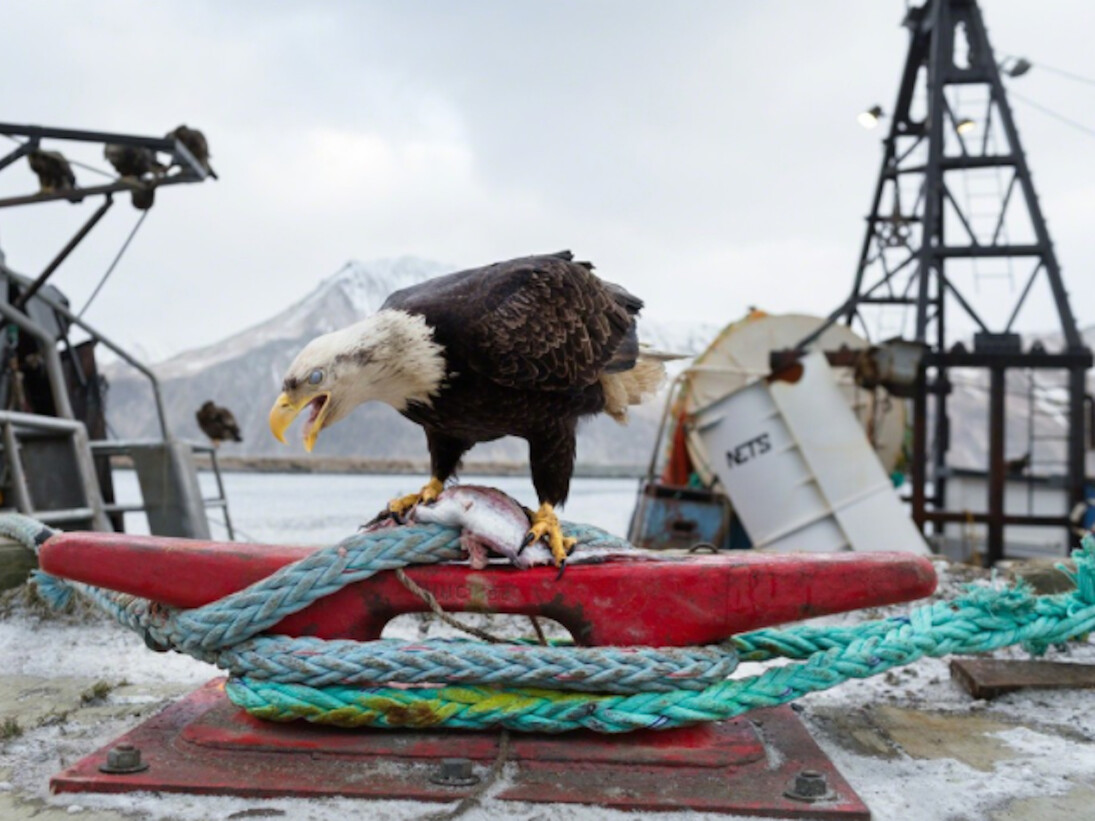 Corey Arnold. Courtesy of Richard Heller Gallery