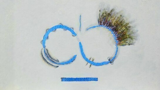 Guido Canziani Jona, N-Code, 2012, Galerie Mario Mazzoli Berlin