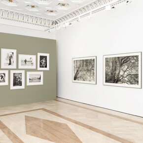 Priscilla Rattazzi, Between worlds, exhibition view. Courtesy of Robilant+Voena 