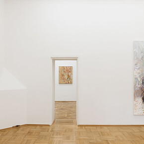 Photo: Markus Wörgötter, Courtesy Galerie nächst St. Stephan Rosemarie Schwarzwälder