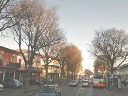 Una strada con alberi