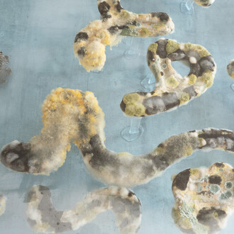 SymbioSoup # 4, 2021, soup, bacteria, viruses, molds, wood, bronze, clear acryl and concrete