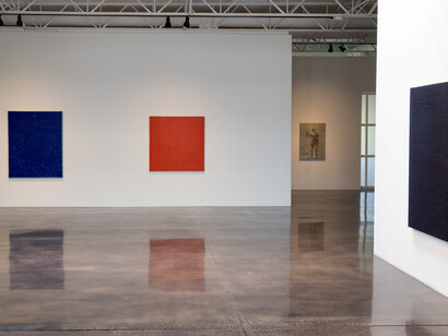 John Wilcox, Phoenix, 2023, installation shot by Allison V. Smith. Courtesy of Barry Whistler Gallery

