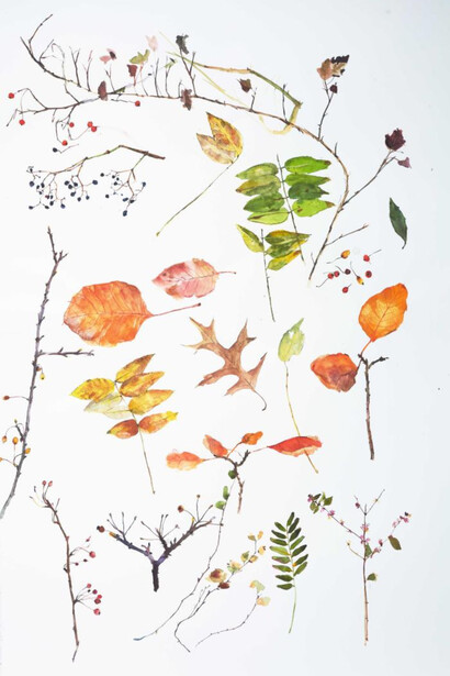 Eunju Kang, Gathering (2023), watercolor on paper, 42 x 31.75 inches; 40x30 inches. Courtesy of SEFA