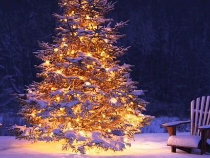 Árbol de Navidad cubierto de nieve