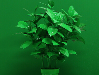 John Wood and Paul Harrison, Semi Automatic Painting Machine, 2014, Single channel HD video [still], Courtesy of Carroll / Fletcher, Copyright © the Artists