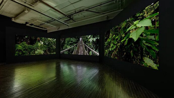 Janet Biggs, Path of totality, exhibition view. Courtesy of Cristin Tierney Gallery