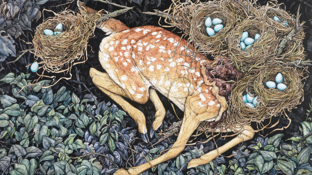 Chimera. Courtesy of Corey Helford Gallery