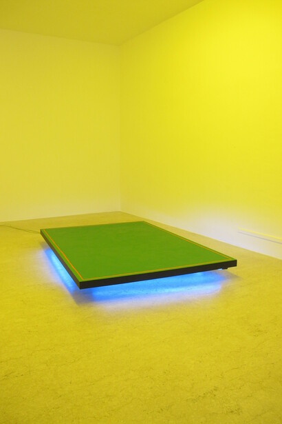 Davide Mancini Zanchi,  Celica, acrilico, carta adesiva (carbon-look) su tela, neon, vista dell'intallazione Blitzen Benz, 2014. Courtesy AplusB, Brescia