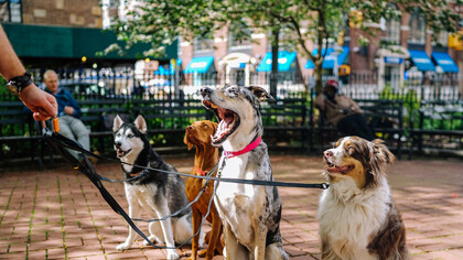 La liberté individuelle