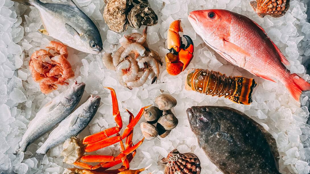 Collection of seafood ingredients on ice