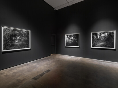 Dawoud Bey, Stony the road, exhibition view. Courtesy of Sean Kelly