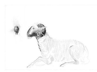 Girolamo Ciulla, 2017, "Ariete con civetta", carboncino e tempera su carta Arches, 100x150 cm