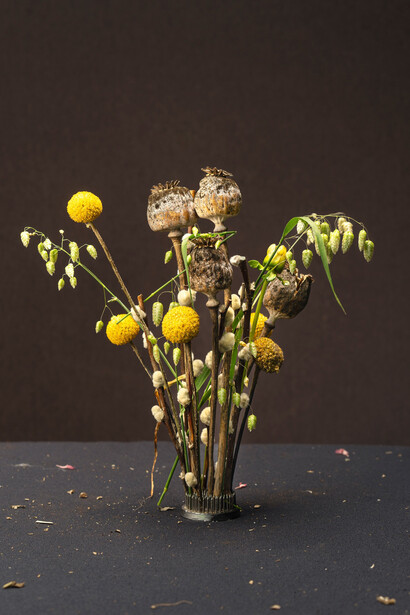 James Henkel, Arrangement with seed heads, 2023. Courtesy of Tracey Morgan Gallery