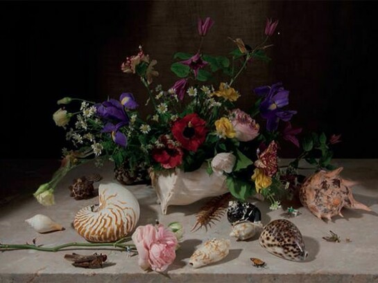 Rebecca Louise Law, Balthasar Van der Ast 2014